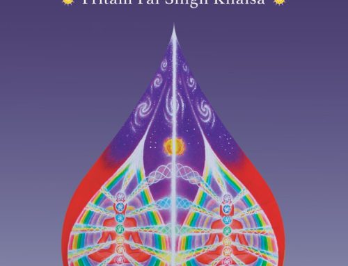 “Danza y Sanación del Ser Multidimensional” Material complementario en PDF